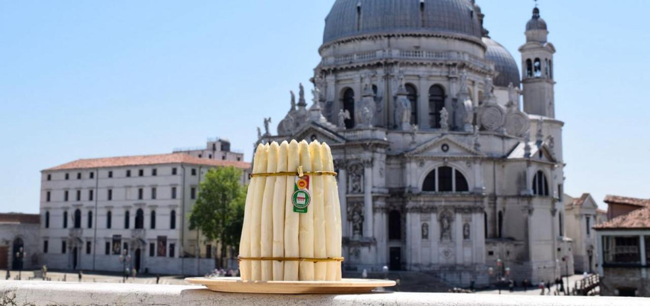 Grappaland Apartment Crespano del Grappa ภายนอก รูปภาพ