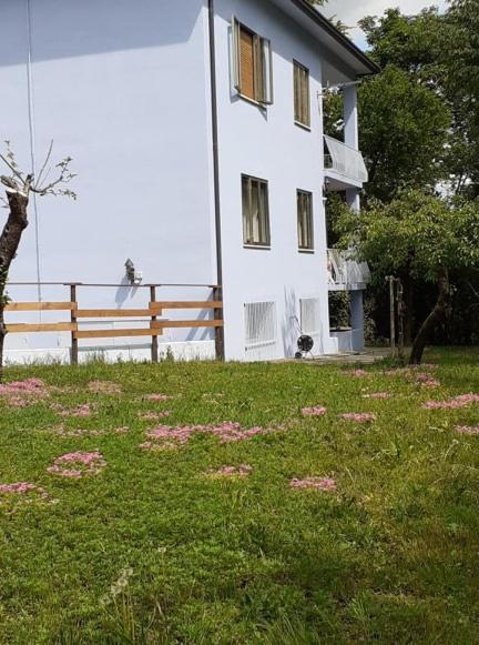 Grappaland Apartment Crespano del Grappa ภายนอก รูปภาพ